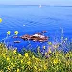 Apartament Mari-christi Poros (Kefalonia)